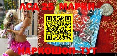 spice Кингисепп