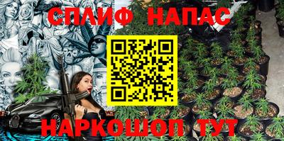 spice Кингисепп