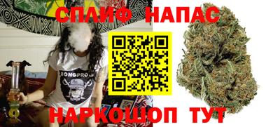 spice Кингисепп