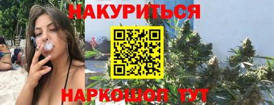spice Кингисепп