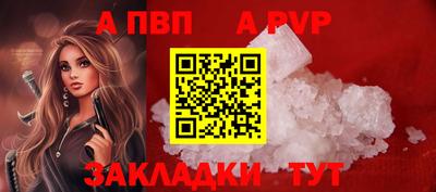 spice Кингисепп
