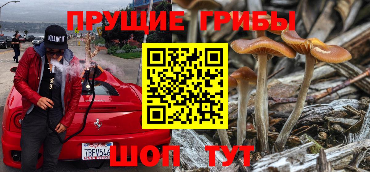 Галлюциногенные грибы мухоморы Конаково