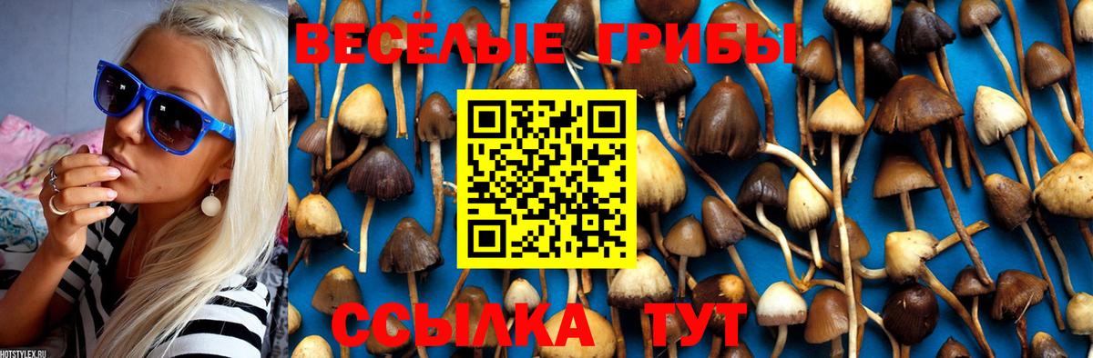 Конаково  Псилоцибиновые грибы Psilocybine cubensis  Вход с VPN  Галлюциногенные грибы Magic Shrooms 